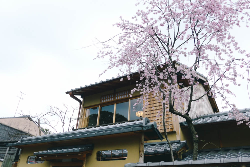 Kyoto in Spring (2016)
